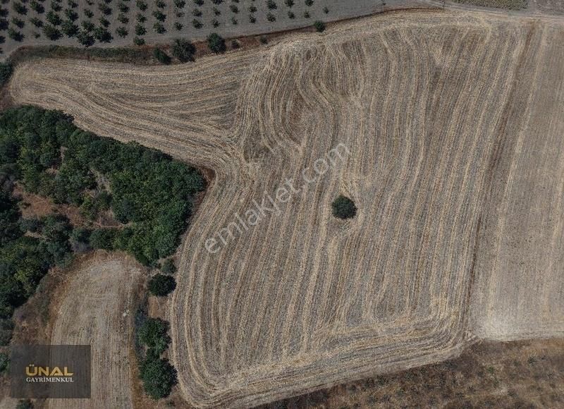 Boğaz Ve Köprü Manzaralı Yatırımlık Fırsat Tarla - Görsel 3