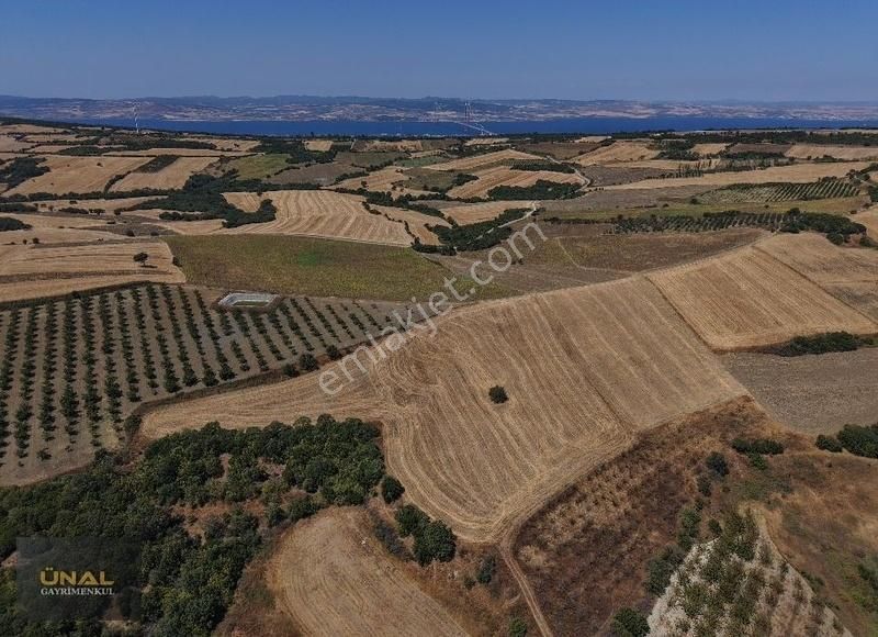Boğaz Ve Köprü Manzaralı Yatırımlık Fırsat Tarla - Görsel 5