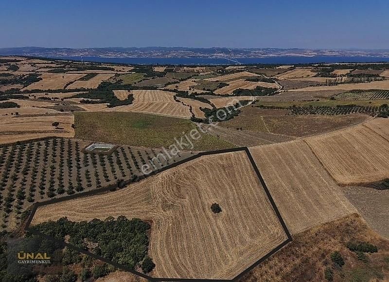 Boğaz Ve Köprü Manzaralı Yatırımlık Fırsat Tarla - Görsel 6
