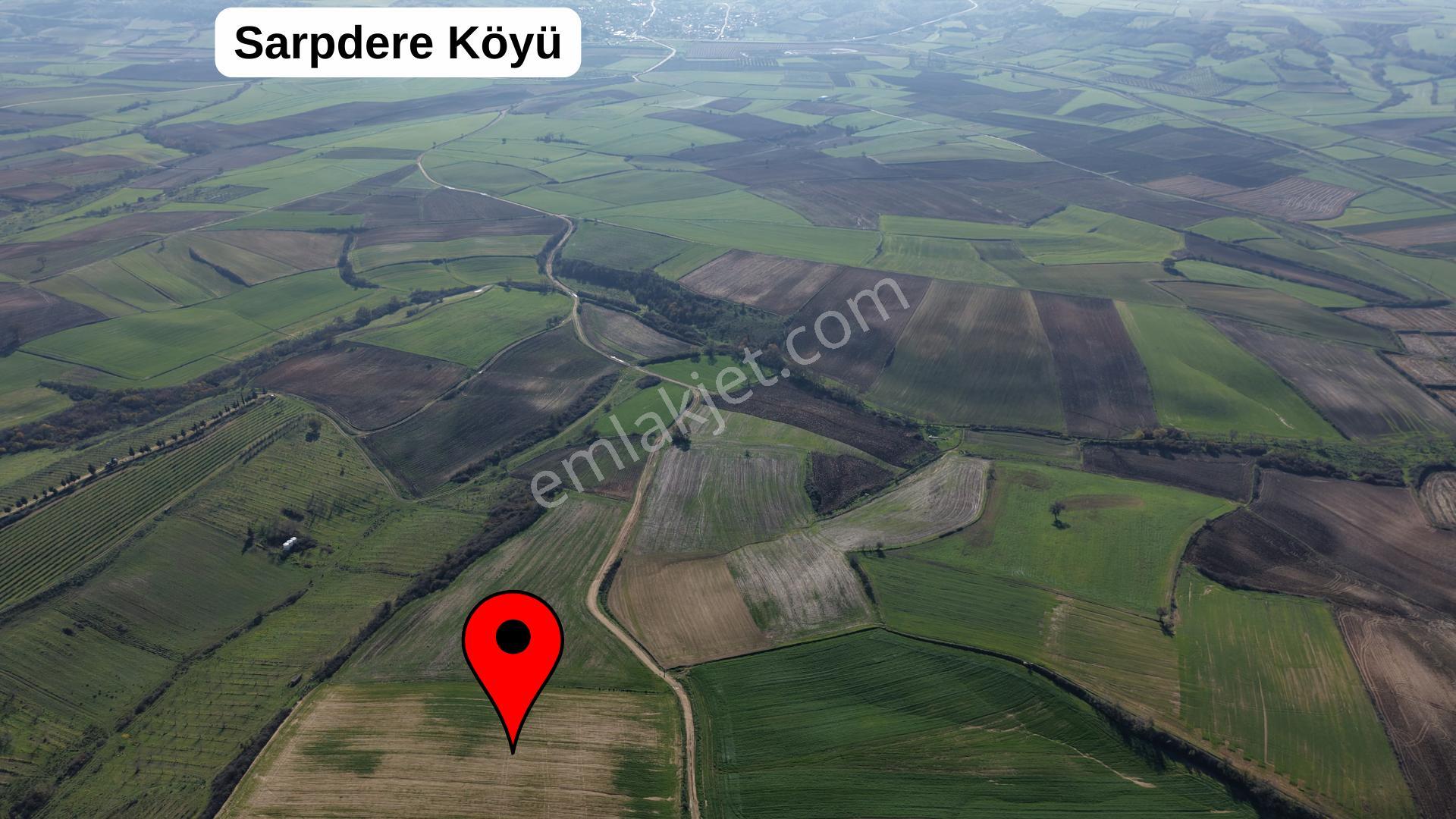 Edirne İpsala Sarpdere-satılık Tarla-yolu Var-29 Dekar - Görsel 5