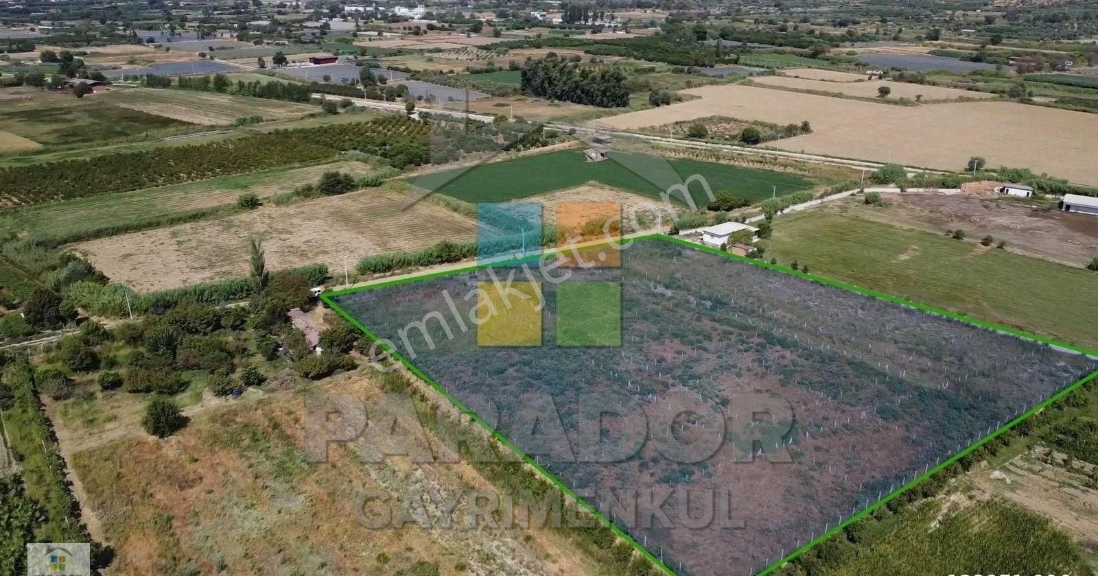 Aydın Sultanhisar Atça Mahallesinde Satılık 12417 M² Tarla - Görsel 5