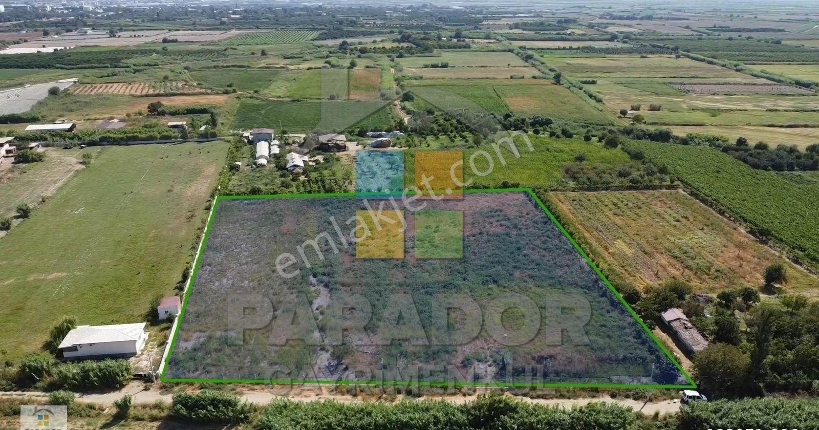 Aydın Sultanhisar Atça Mahallesinde Satılık 12417 M² Tarla - Görsel 7