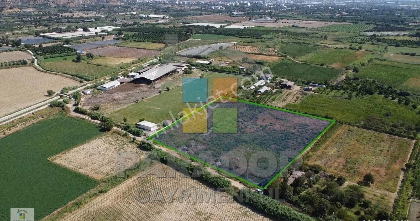 Aydın Sultanhisar Atça Mahallesinde Satılık 12417 M² Tarla - Görsel 8