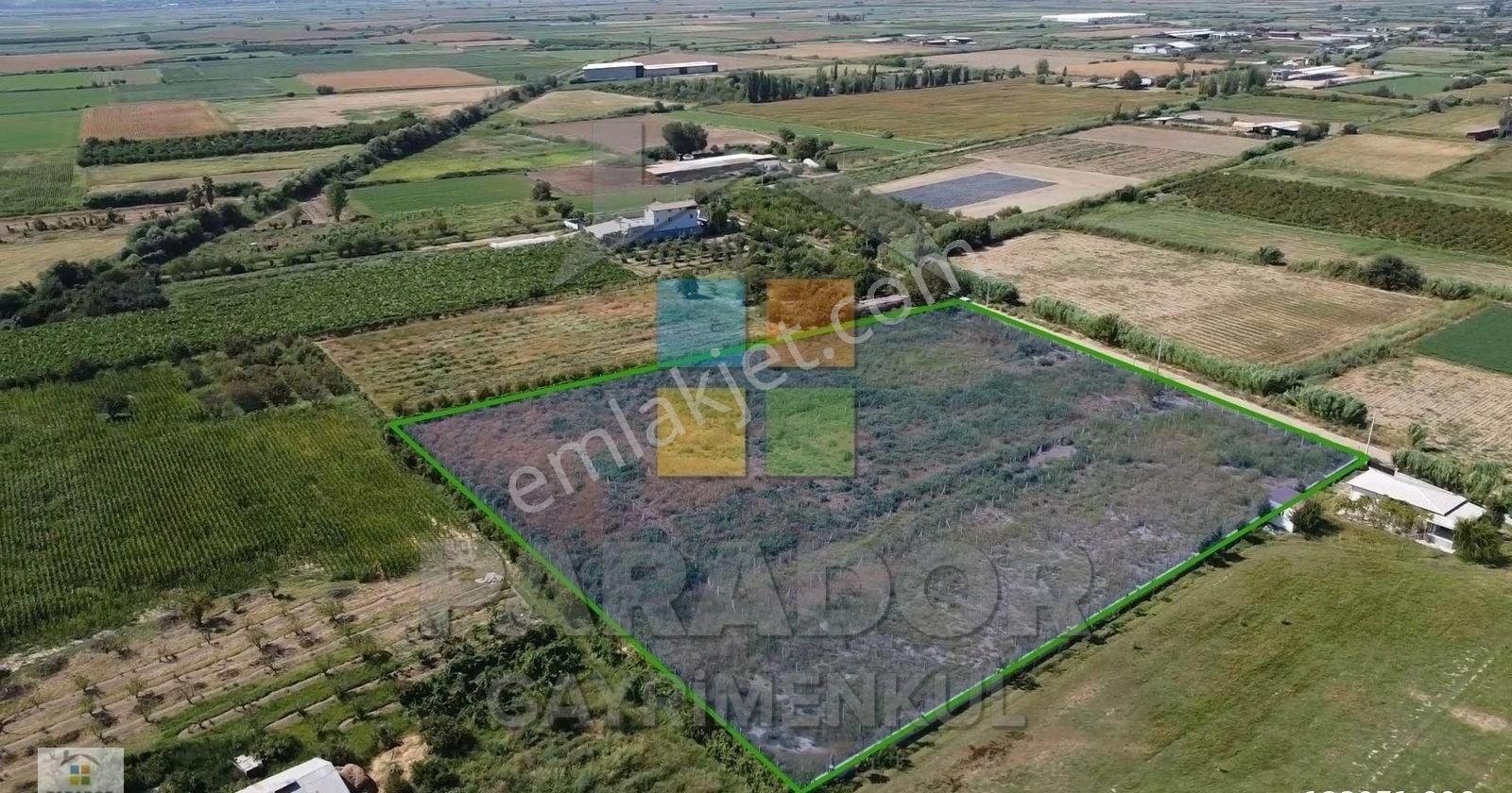 Aydın Sultanhisar Atça Mahallesinde Satılık 12417 M² Tarla - Görsel 4