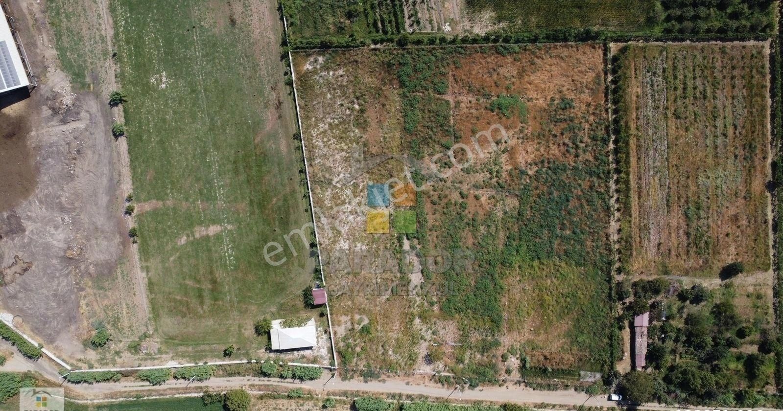 Aydın Sultanhisar Atça Mahallesinde Satılık 12417 M² Tarla - Görsel 11