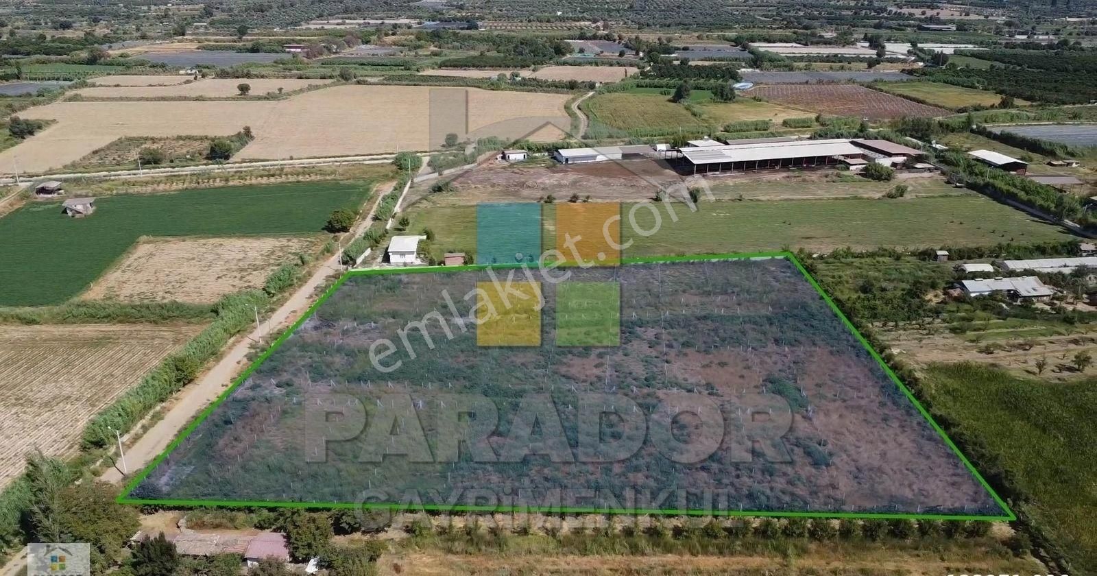 Aydın Sultanhisar Atça Mahallesinde Satılık 12417 M² Tarla - Görsel 3