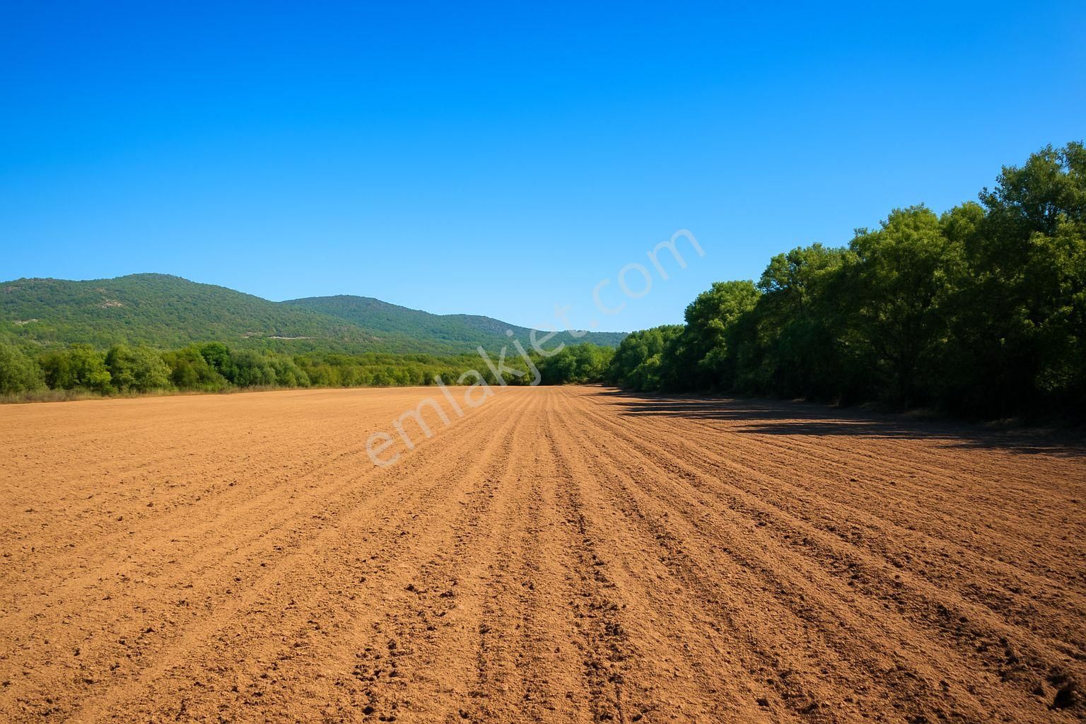 Urla Kadıovacık’ta Yola Cepheli, Ova Konumlu 6.888 M² Tarla
