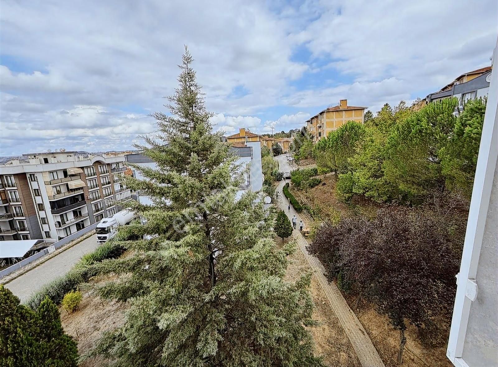 Korucuk Merkez Bim Market Arkası Kiralık 3+1 Temiz Daire - Görsel 3