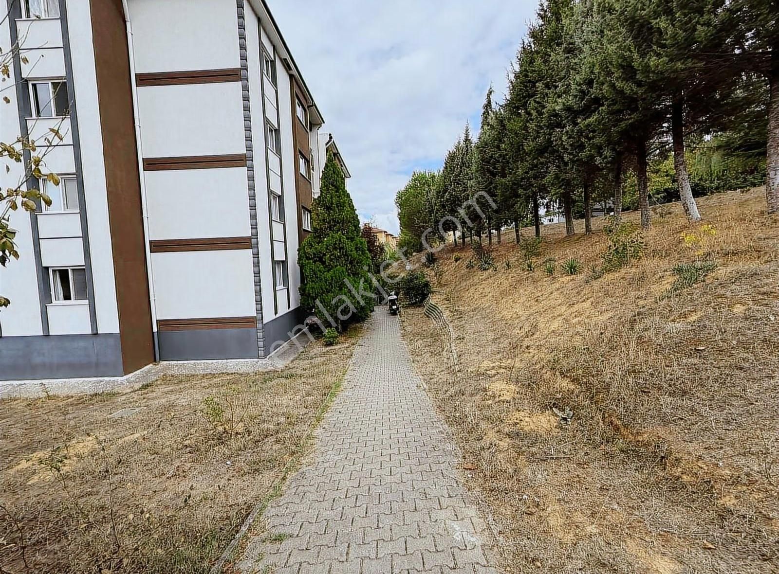 Korucuk Merkez Bim Market Arkası Kiralık 3+1 Temiz Daire - Görsel 19