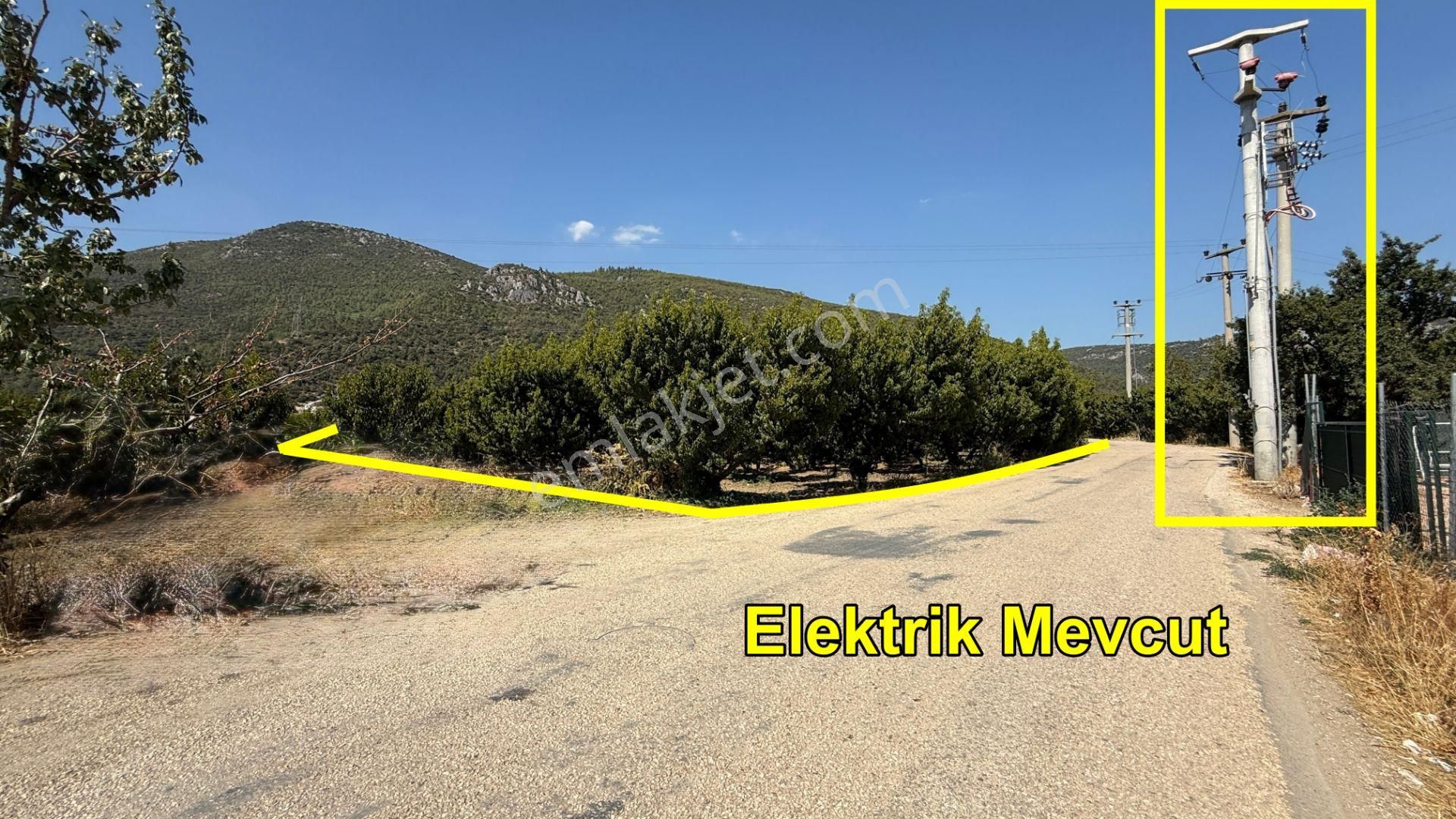 Bursa Kestel Barakfakih Satılık Şeftali Bahçesi Yatırım Fırsatı - Görsel 6
