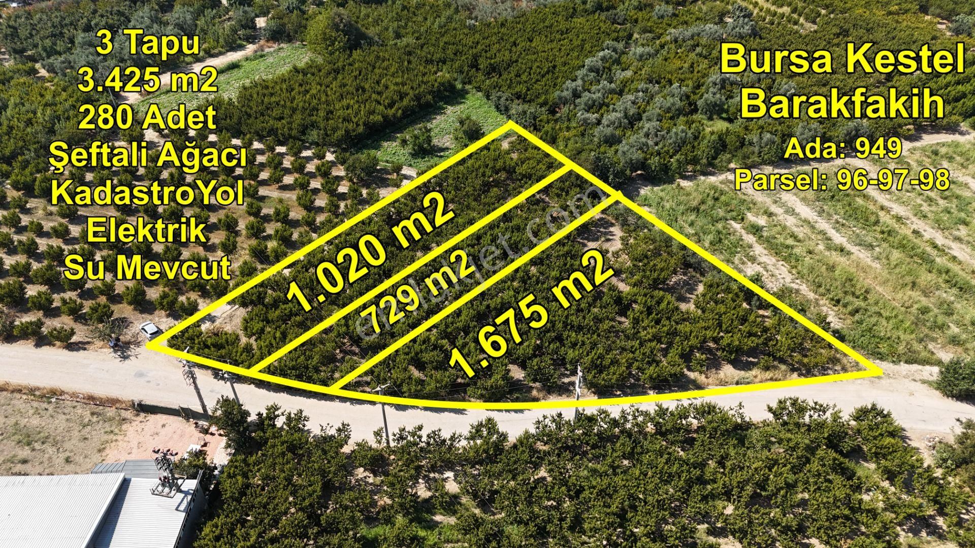 Bursa Kestel Barakfakih Satılık Şeftali Bahçesi Yatırım Fırsatı