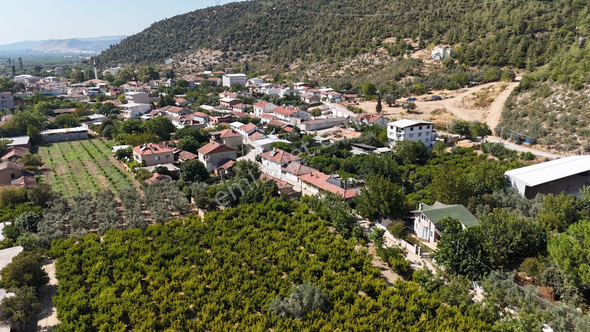 Bursa Kestel Barakfakih Satılık Şeftali Bahçesi Yatırım Fırsatı - Görsel 13