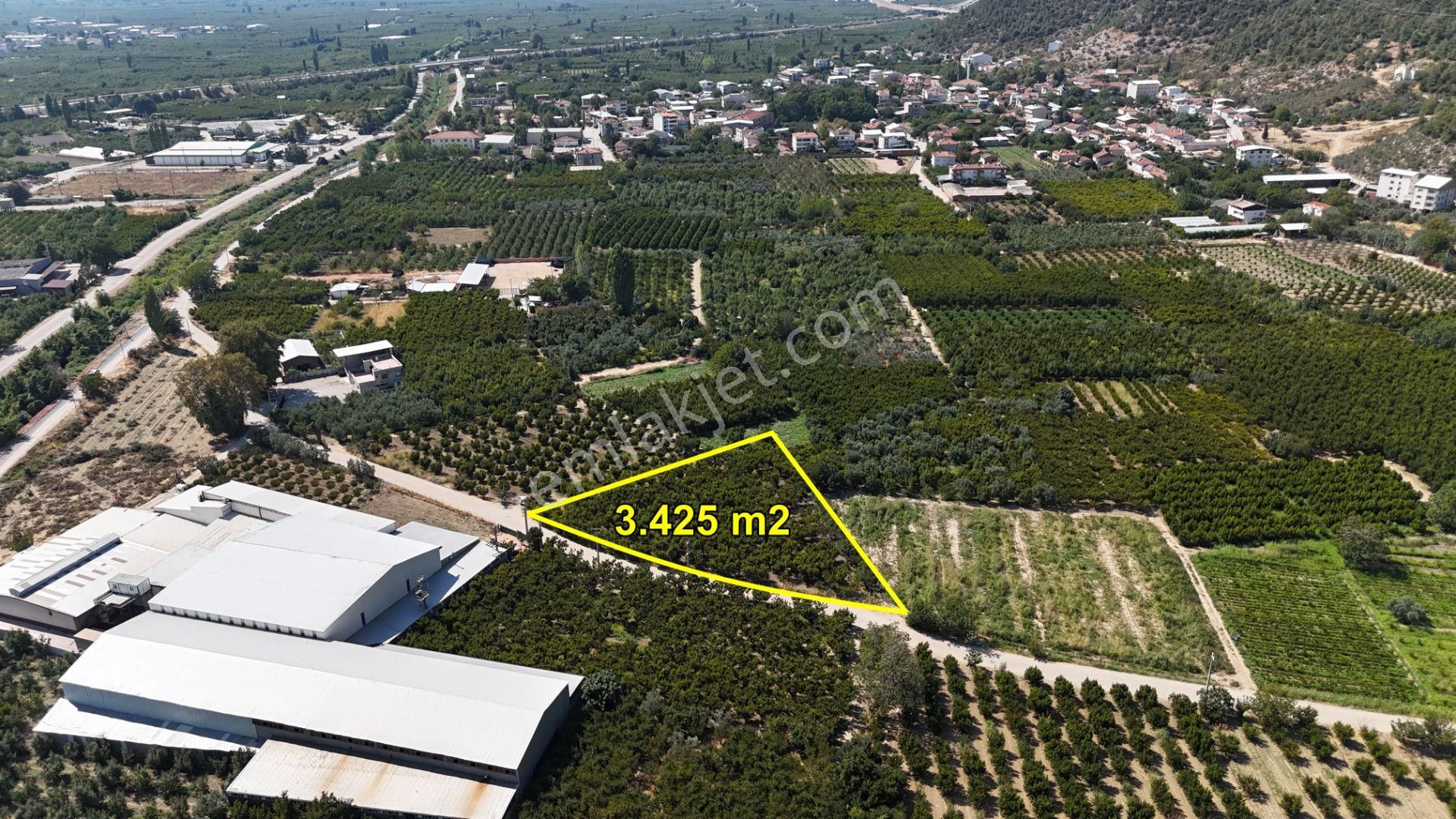 Bursa Kestel Barakfakih Satılık Şeftali Bahçesi Yatırım Fırsatı - Görsel 2