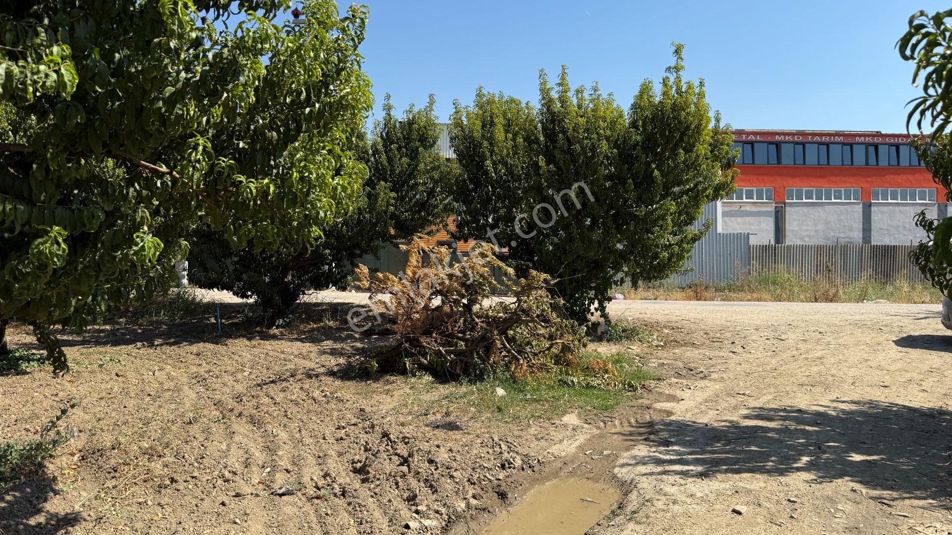 Bursa Kestel Barakfakih Satılık Şeftali Bahçesi Yatırım Fırsatı - Görsel 26