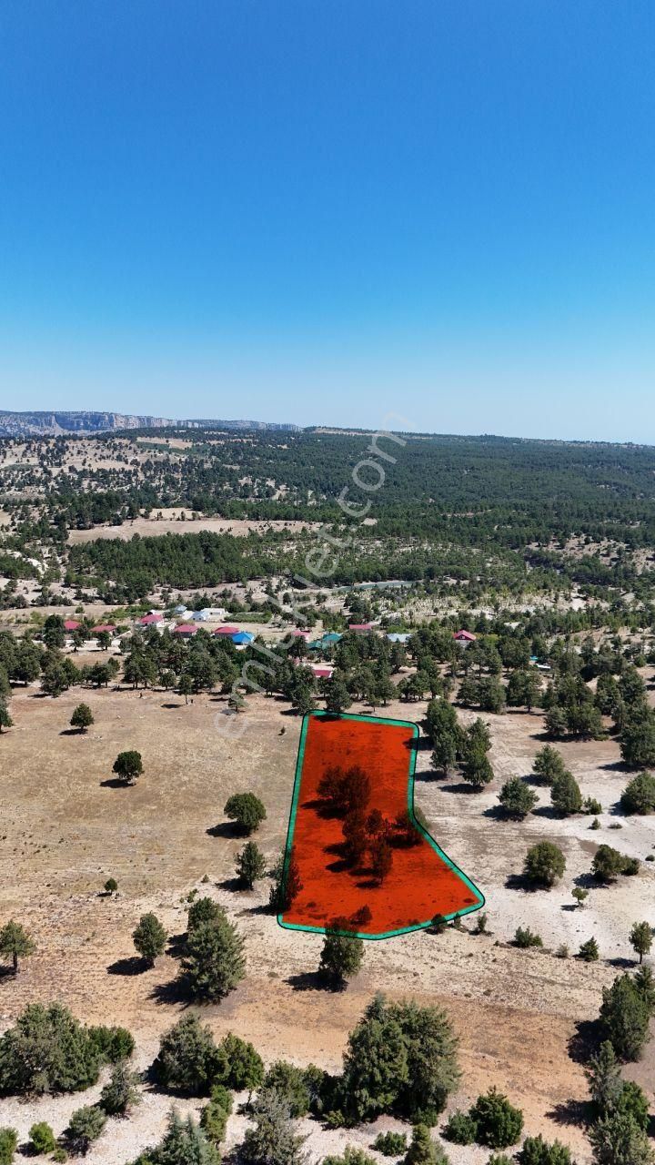 Thor'dan Satılık Erdemli Tozlu Yaylası 7404 M2 Arsa - Görsel 8