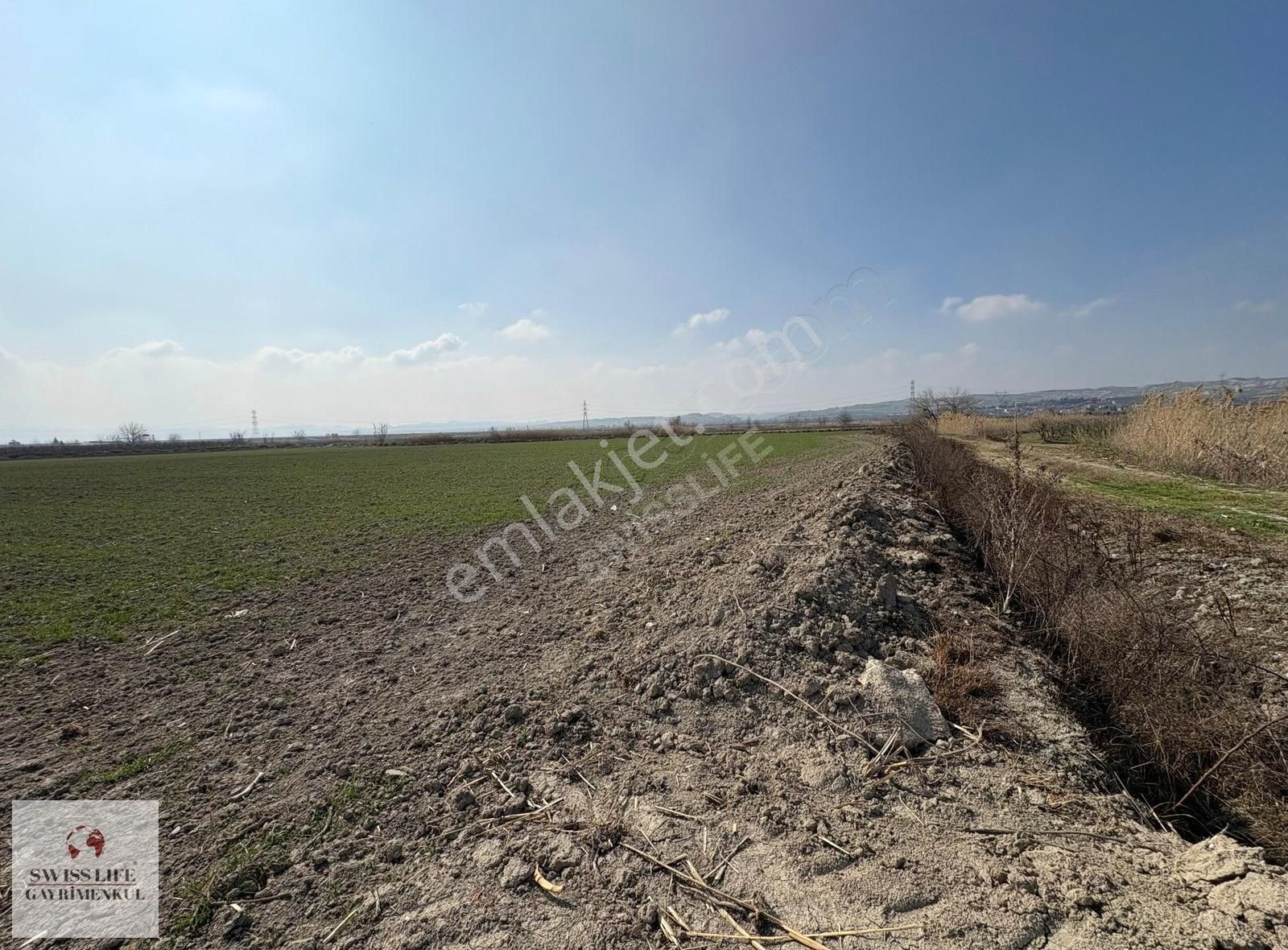 Swıss Lıfe'dan Korucuk'da 24,900 M² Satılık Fırsat Tarla - Görsel 2