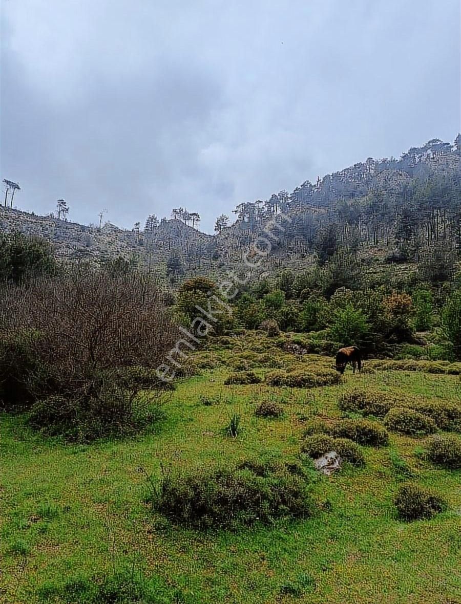 Muğla Marmaris Osmaniye Camiyanı Satılık Tarla ! - Görsel 2