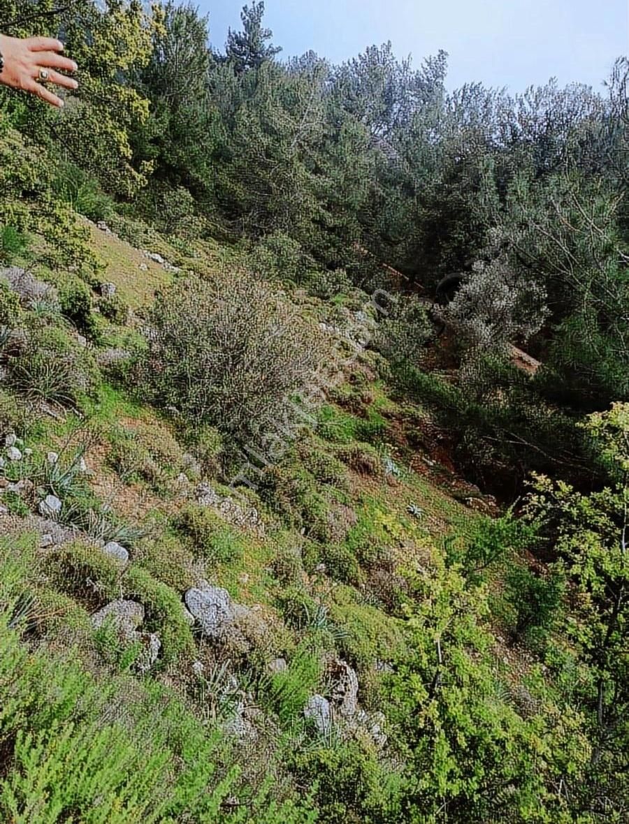 Muğla Marmaris Osmaniye Camiyanı Satılık Tarla !
