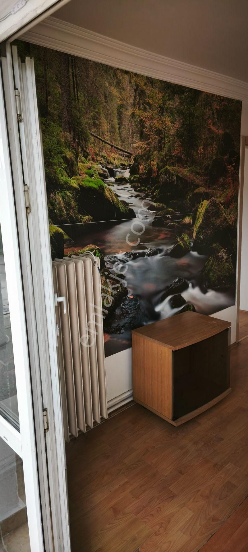 Kiralık Memura Üniversite Öğrencisine - Görsel 4