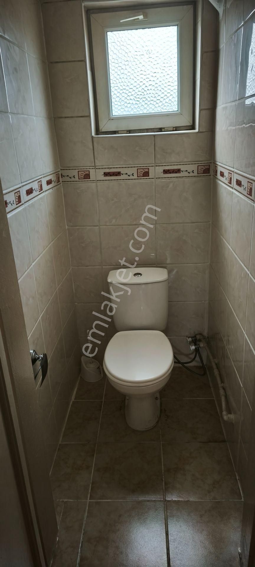 Kiralık Memura Üniversite Öğrencisine - Görsel 9