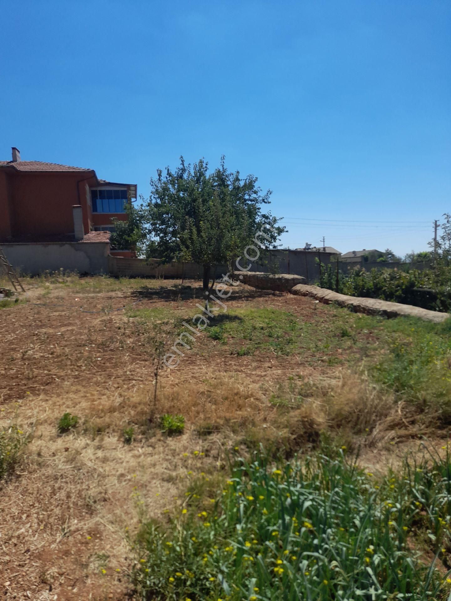 Gül Emlaktan Konya Hüyük İlçesinde Satlık İçerisinde Eski Ev Olan Arsa - Görsel 10