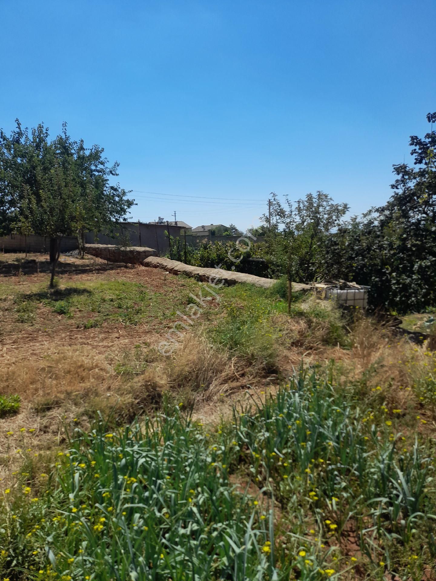 Gül Emlaktan Konya Hüyük İlçesinde Satlık İçerisinde Eski Ev Olan Arsa - Görsel 11