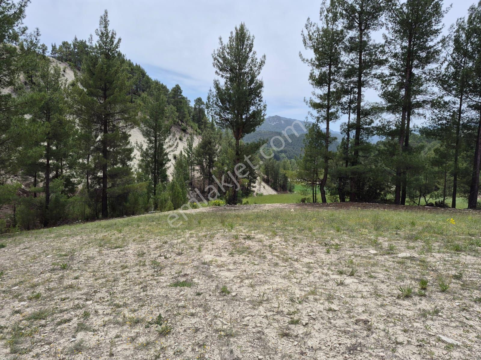 Denizli Çameli Sarıkavak Mah Satılık Tarla