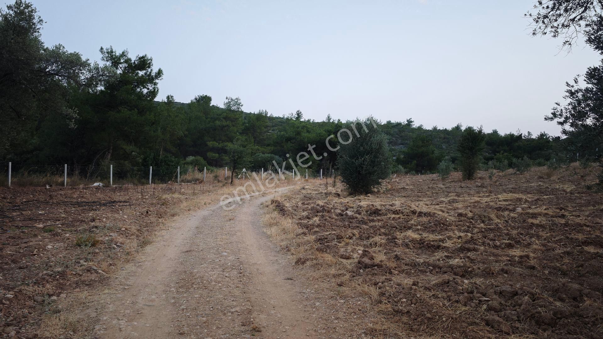 Urla Kadıovacık Köyü Satılık Arazi Ve Doğaltaş Taş Ev - Görsel 6