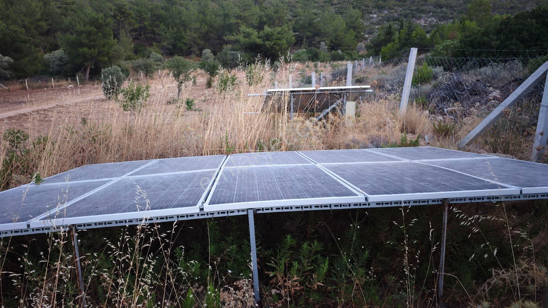 Urla Kadıovacık Köyü Satılık Arazi Ve Doğaltaş Taş Ev - Görsel 25