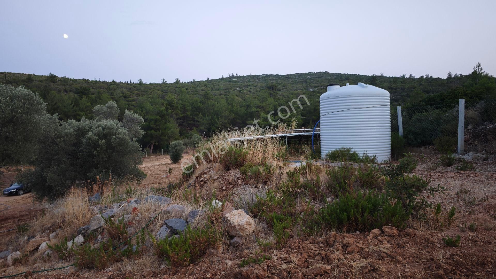 Urla Kadıovacık Köyü Satılık Arazi Ve Doğaltaş Taş Ev - Görsel 26