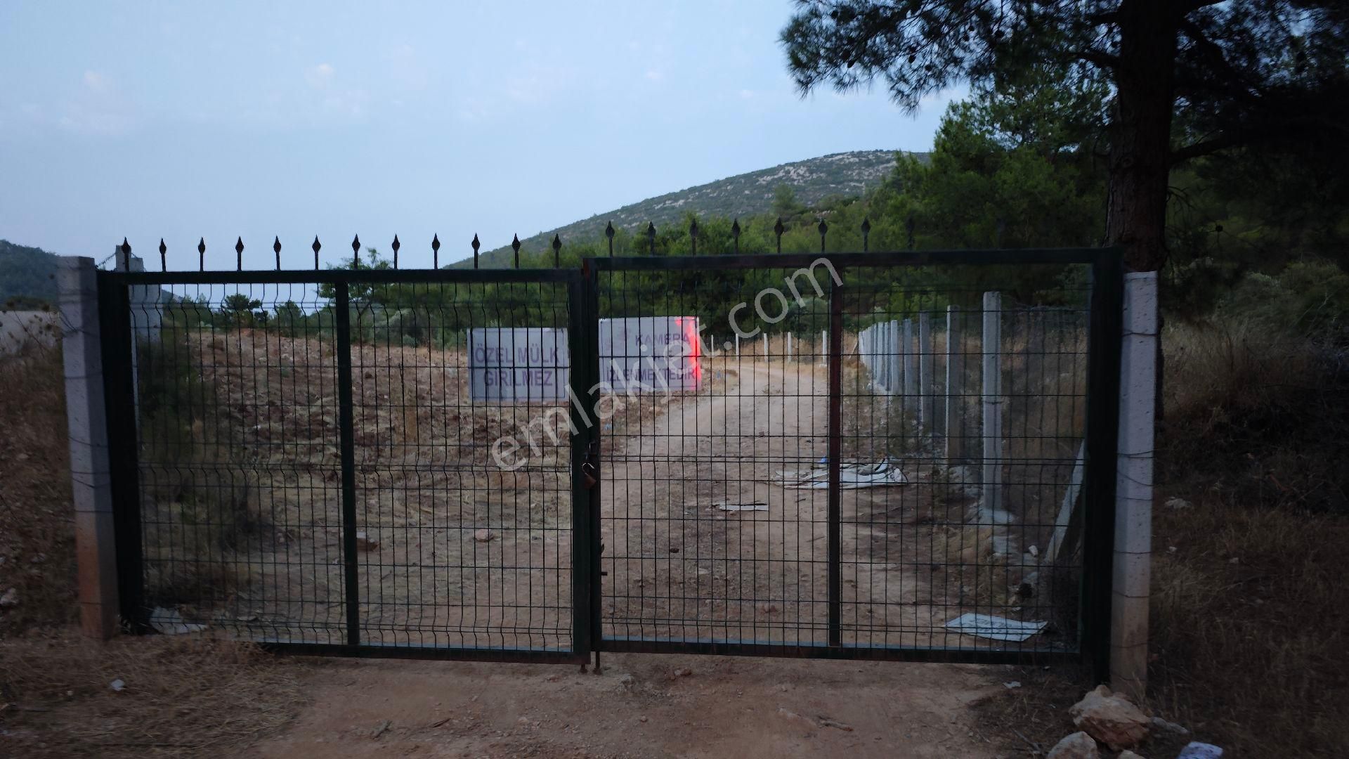 Urla Kadıovacık Köyü Satılık Arazi Ve Doğaltaş Taş Ev - Görsel 35