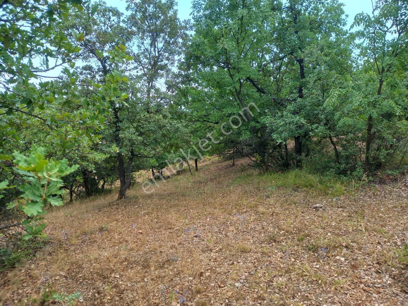 Roma' Dan Edebey' De Satılık Villa Arsası - Görsel 2