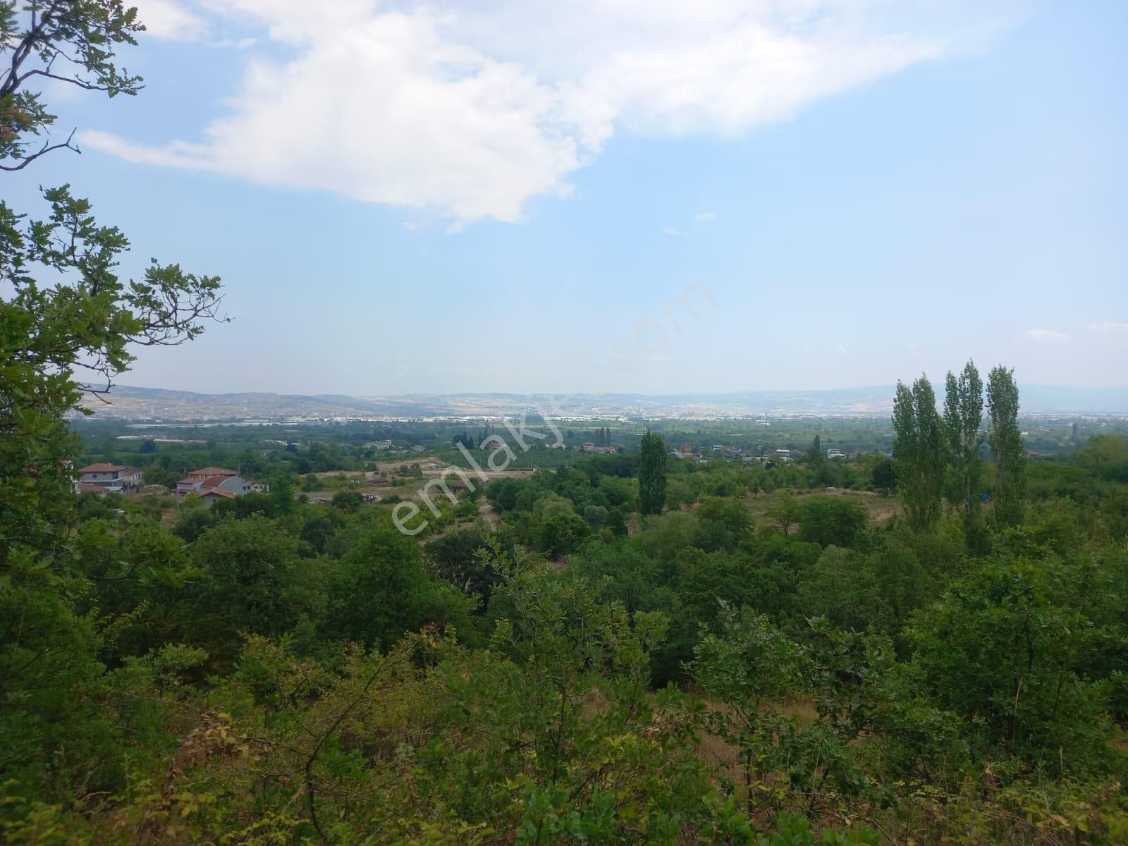 Roma' Dan Edebey' De Satılık Villa Arsası - Görsel 6