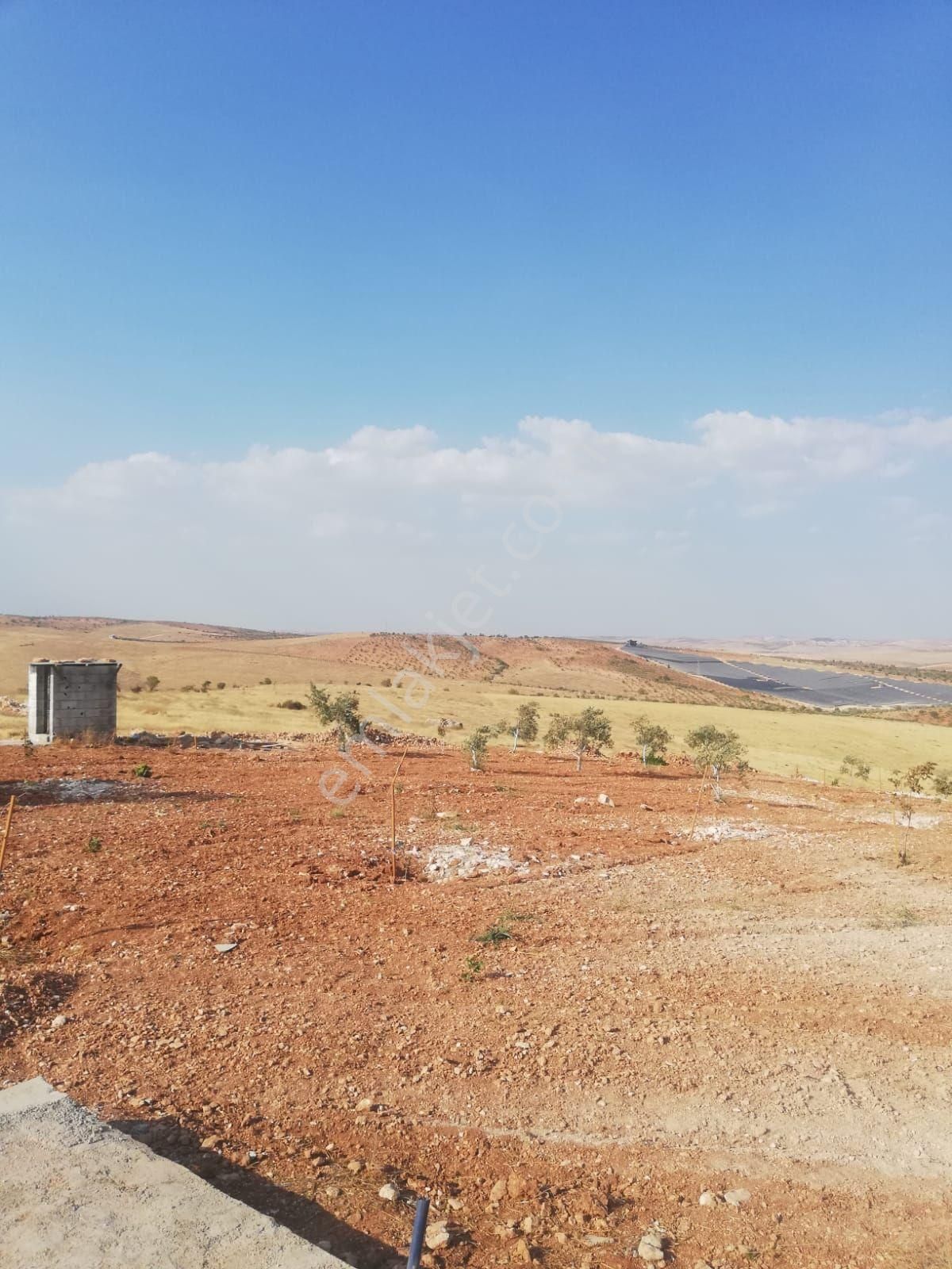 Oğuzeli Subaşı Zirve De Satılık - Görsel 13