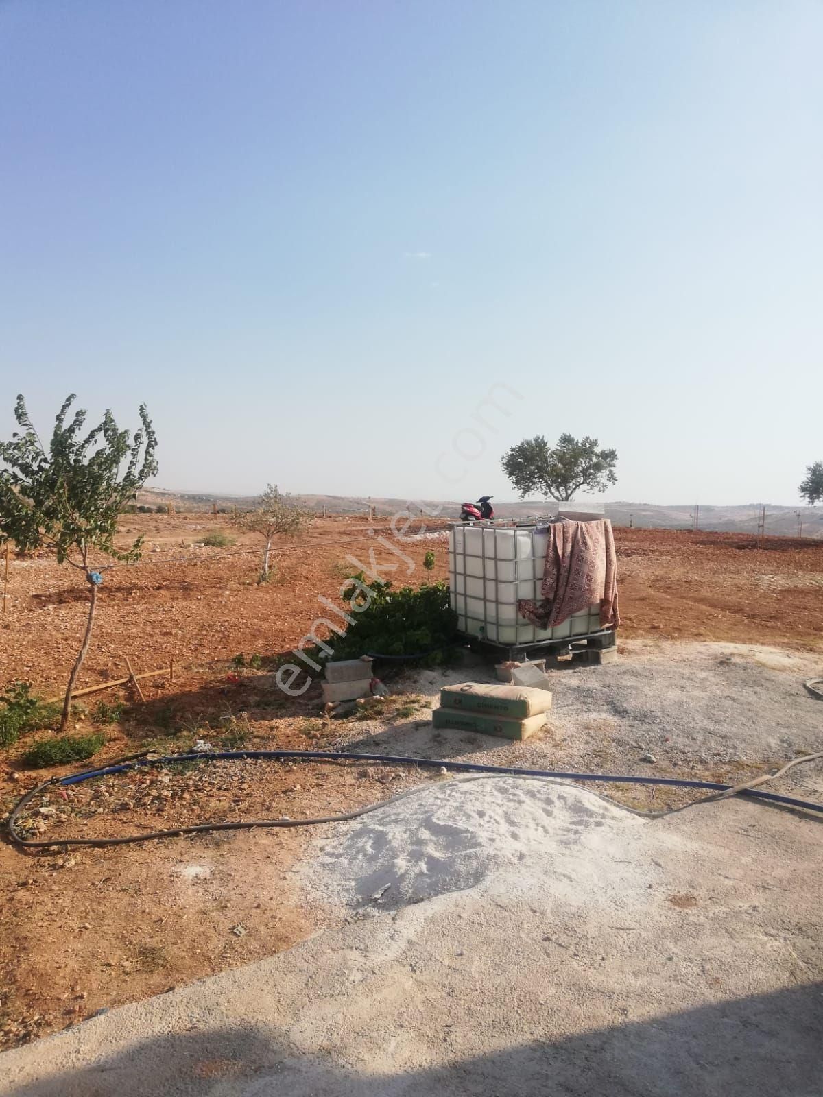 Oğuzeli Subaşı Zirve De Satılık - Görsel 18