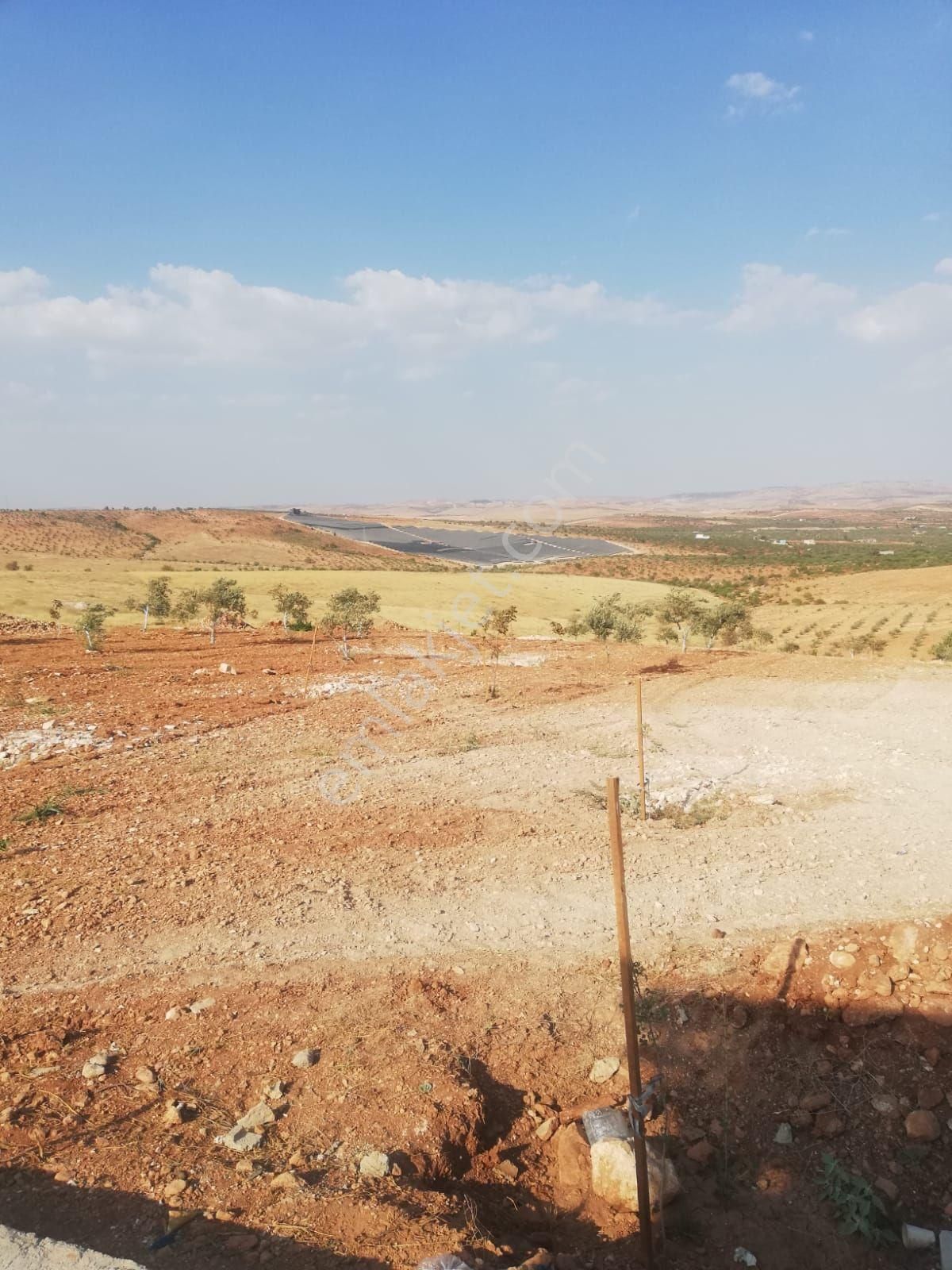 Oğuzeli Subaşı Zirve De Satılık - Görsel 35