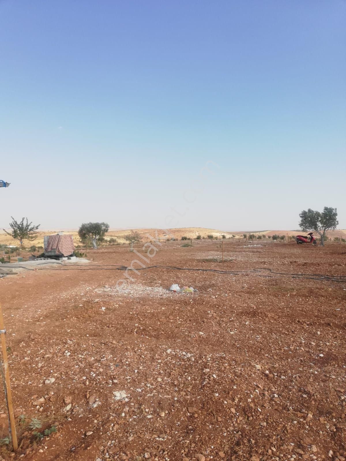 Oğuzeli Subaşı Zirve De Satılık - Görsel 20