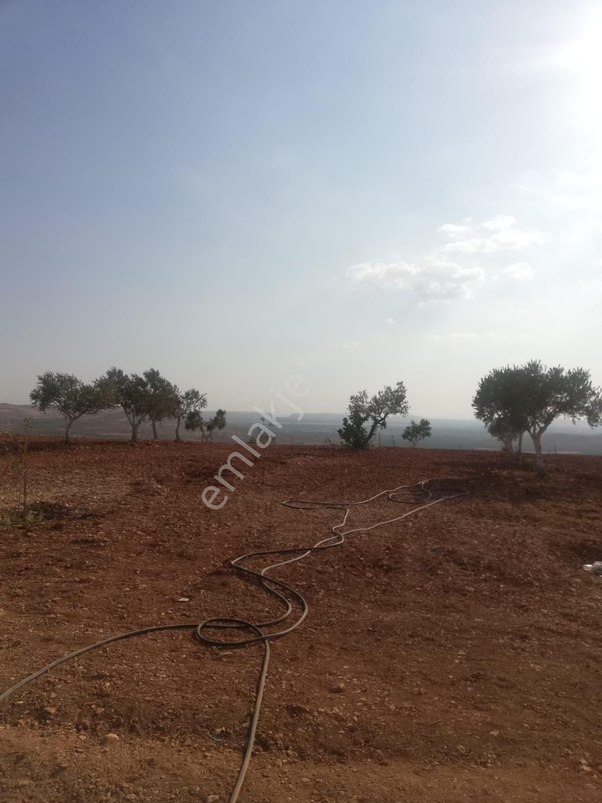 Oğuzeli Subaşı Zirve De Satılık - Görsel 29