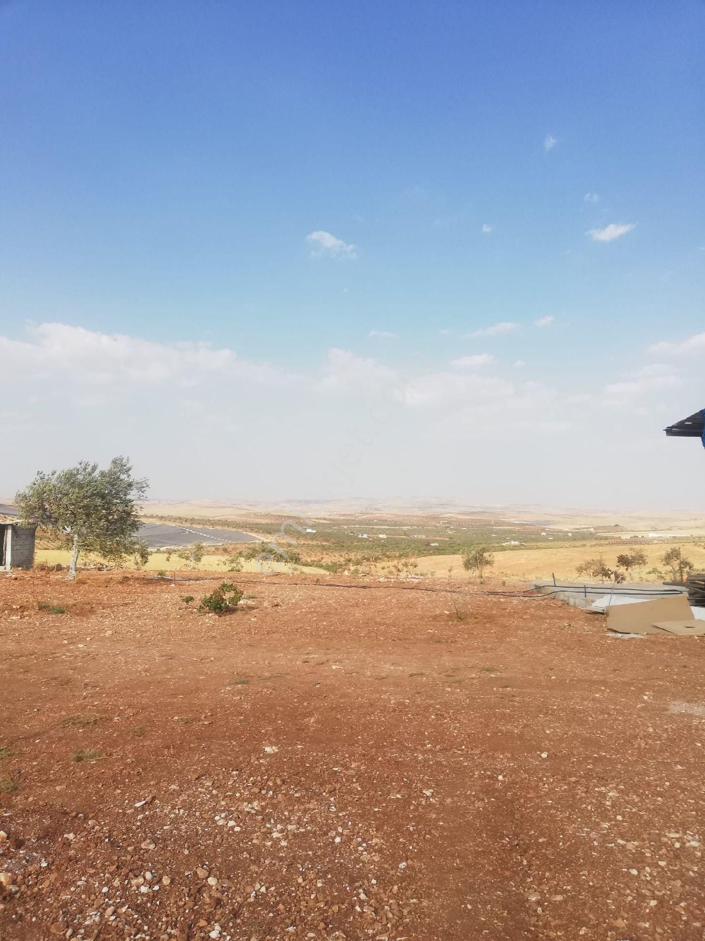 Oğuzeli Subaşı Zirve De Satılık - Görsel 6