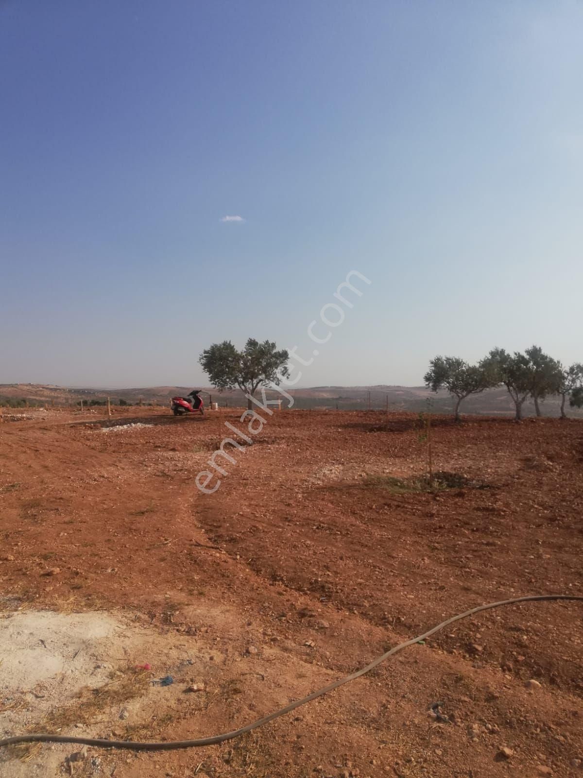 Oğuzeli Subaşı Zirve De Satılık - Görsel 11