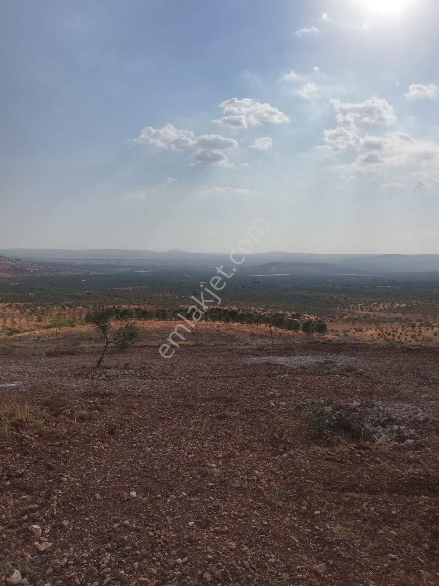 Oğuzeli Subaşı Zirve De Satılık - Görsel 3