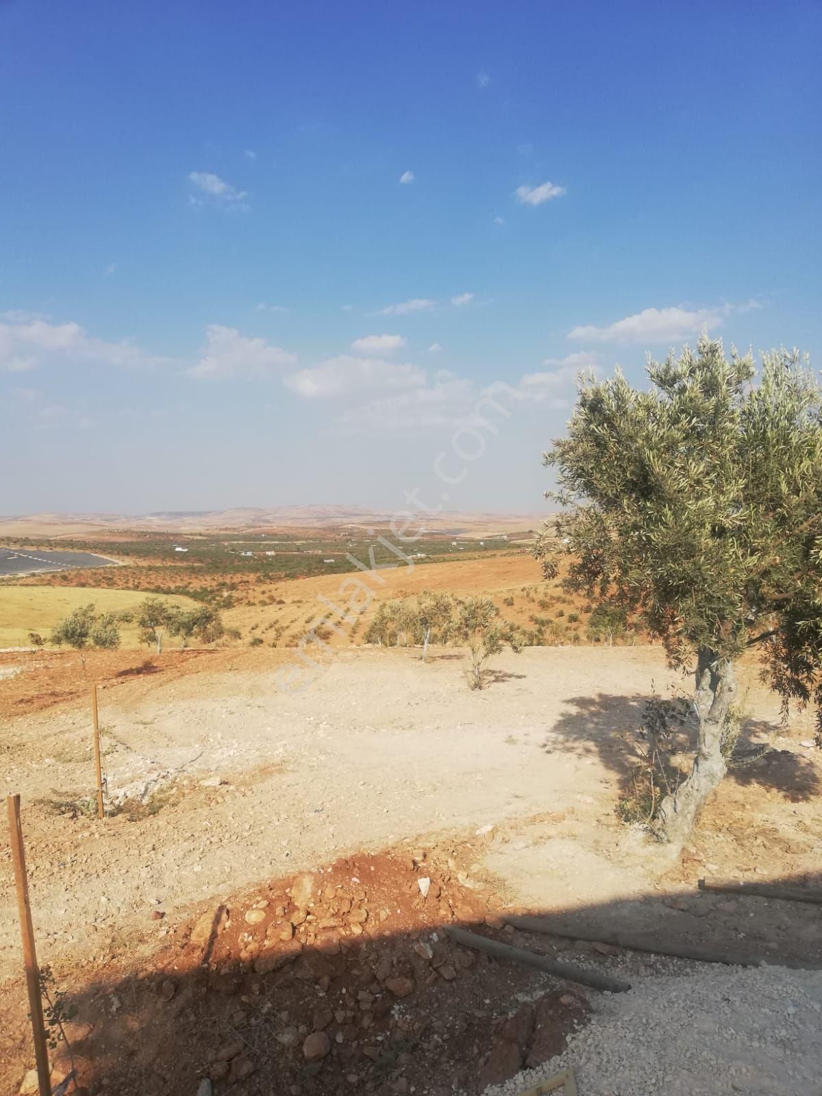 Oğuzeli Subaşı Zirve De Satılık - Görsel 34