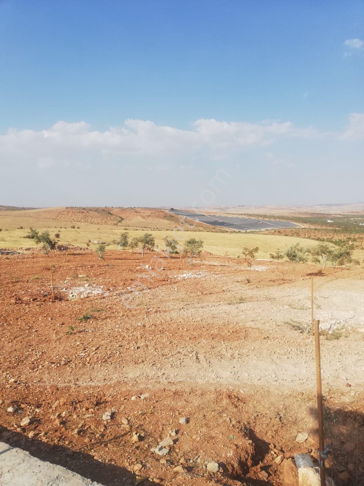 Oğuzeli Subaşı Zirve De Satılık - Görsel 25