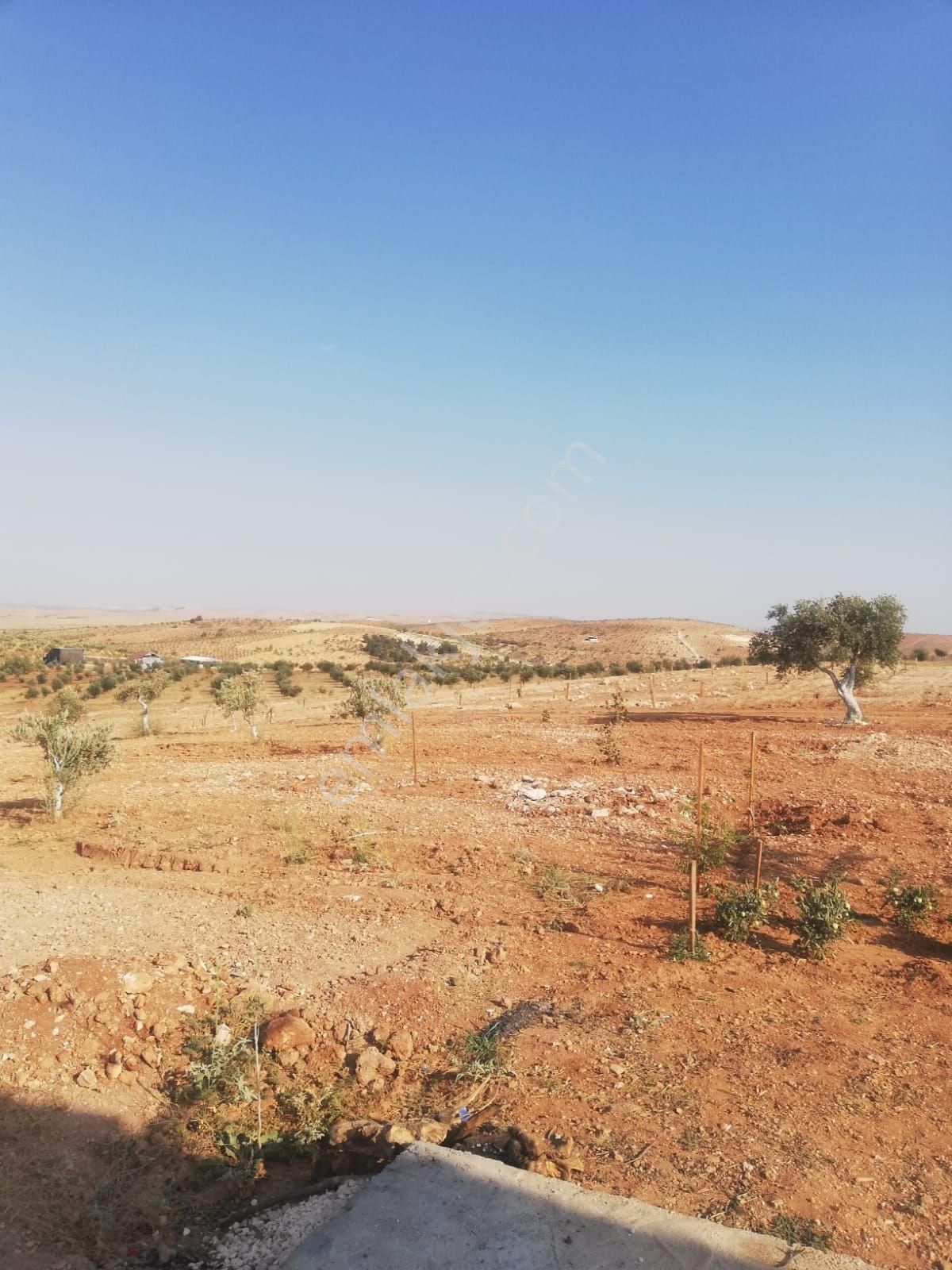 Oğuzeli Subaşı Zirve De Satılık - Görsel 28