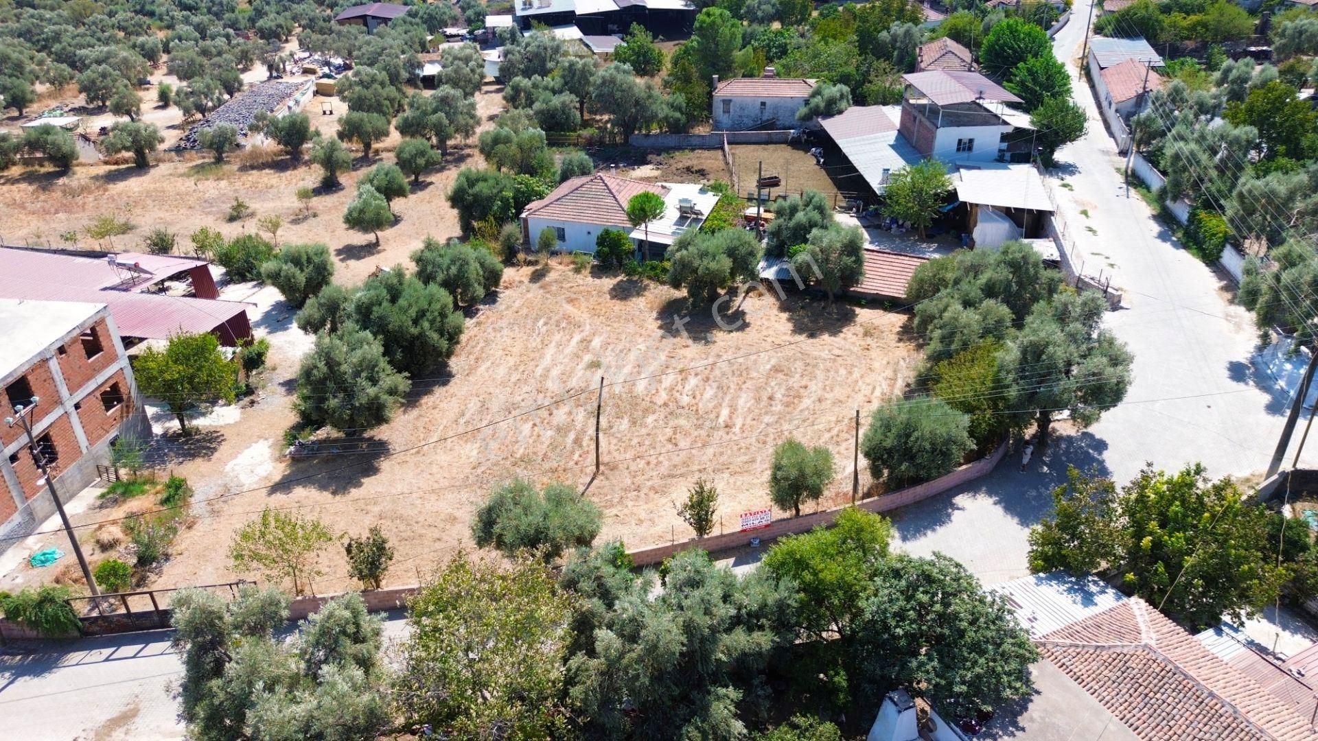Milas Hisarcık Mahallesinde 4 Villalık Konut İmarlı Arsa - Görsel 7