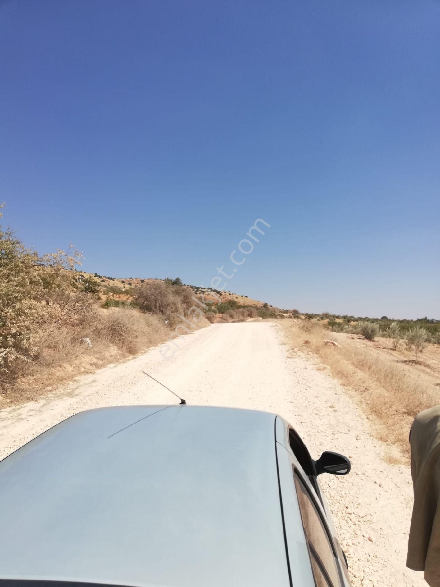 Nizip Kocatepe Resmi Yol Üzeri Bağevlik Arazi - Görsel 3