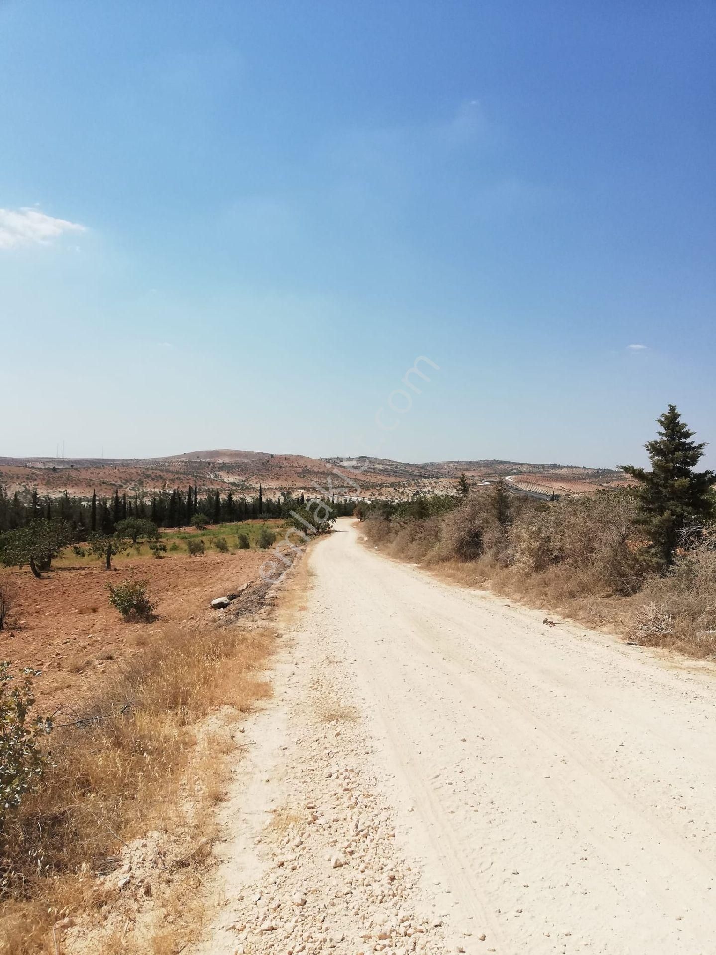 Nizip Kocatepe Resmi Yol Üzeri Bağevlik Arazi - Görsel 29