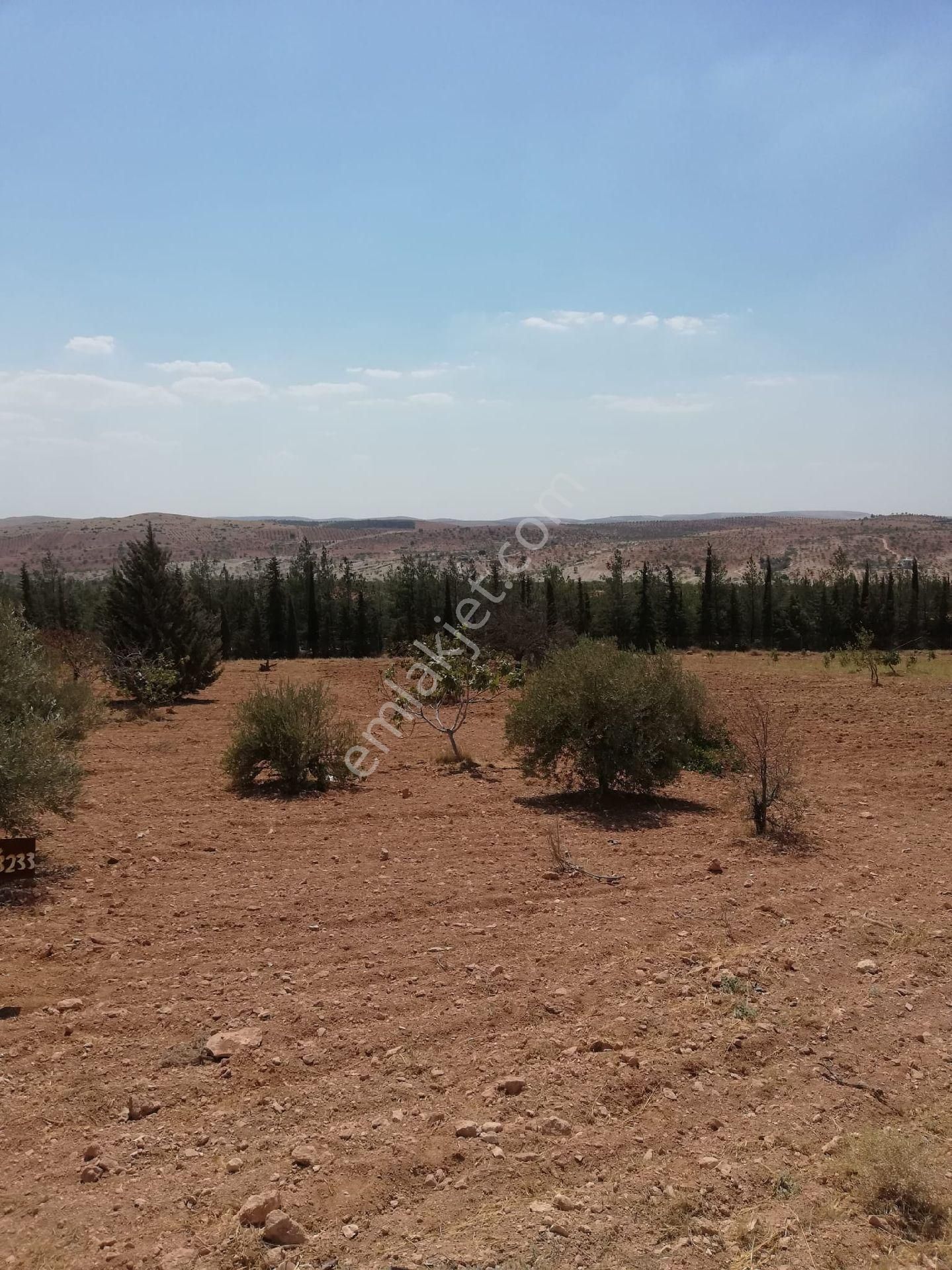 Nizip Kocatepe Resmi Yol Üzeri Bağevlik Arazi - Görsel 17