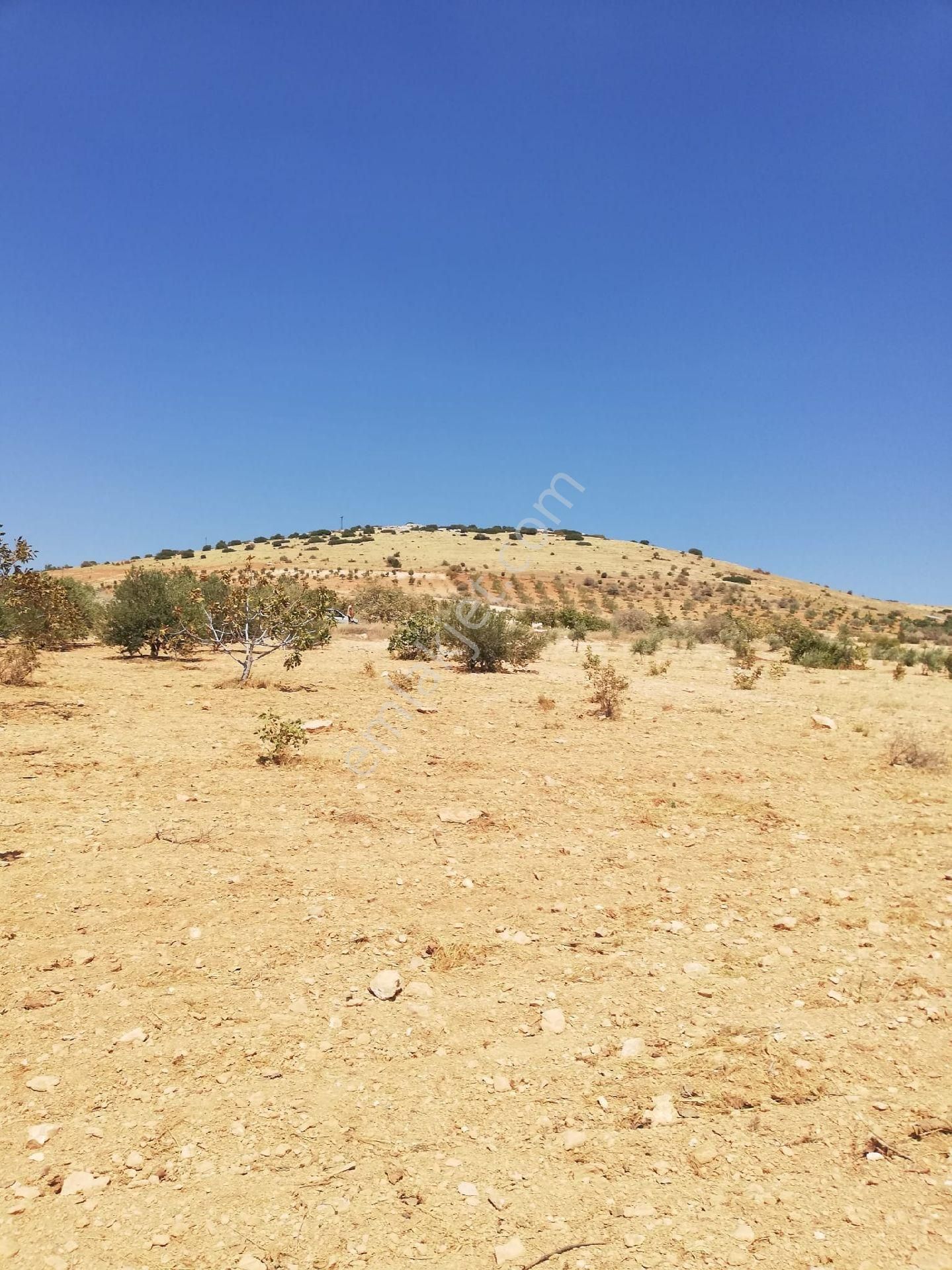 Nizip Kocatepe Resmi Yol Üzeri Bağevlik Arazi - Görsel 24
