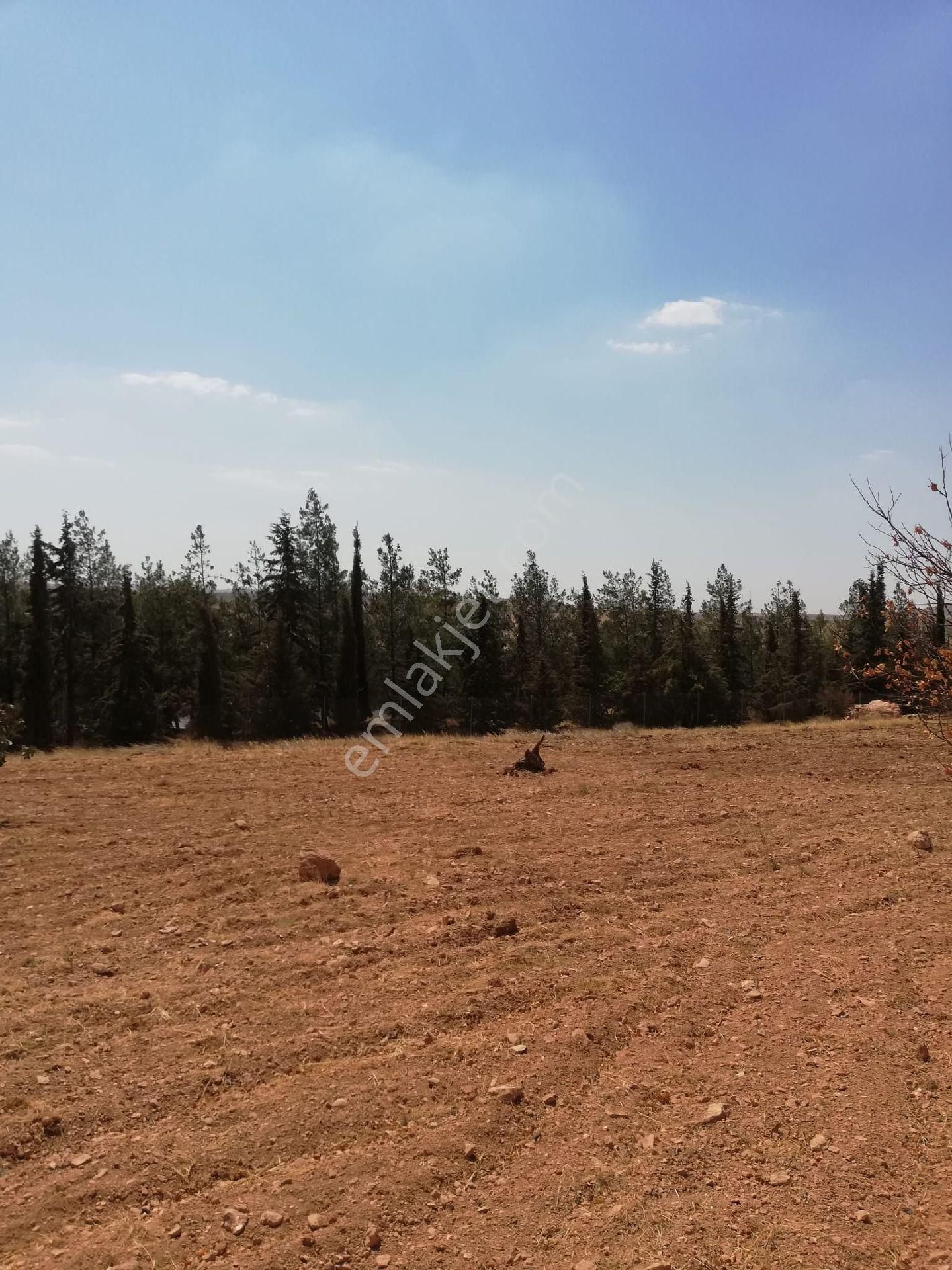 Nizip Kocatepe Resmi Yol Üzeri Bağevlik Arazi - Görsel 7